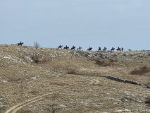 IMG-20260412-WA0083.jpg